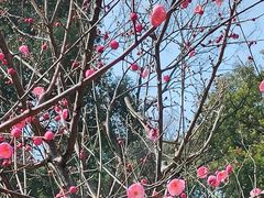 -赭山公园
