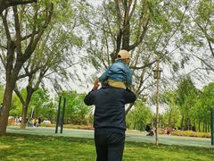 -羊亭河湿地公园