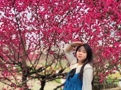 -秀丽东方