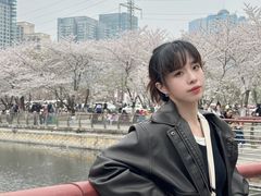 -西北湖绿化广场