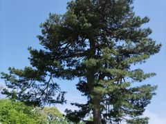 -秦岭终南山世界地质公园翠华山景区