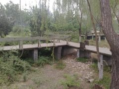 -石家庄市植物园