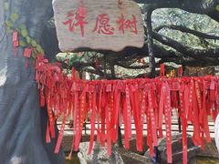 -白鹿原·白鹿仓