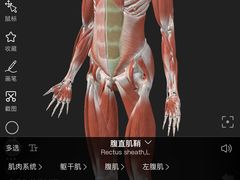 -锐动健身游泳(博地中心店)