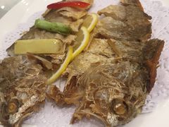 -骏莱海鲜鱼港(五角场店)