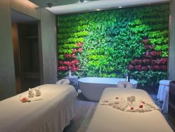 -VELEE·SPA高定疗愈会所