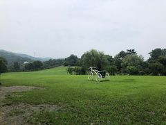 -雨花胜境