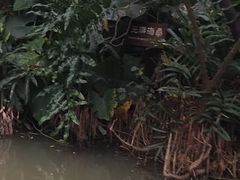 -大湾区中央湿地公园