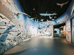 -中国湿地博物馆