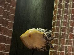 -永安鱼庄·镇江菜(东吴路店)