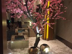 -爱乐国际温泉水疗会