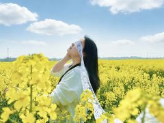 -西京湾花海