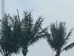 -上海玛雅海滩水公园
