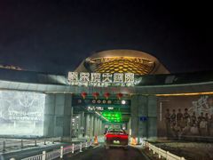 -哈尔滨大剧院