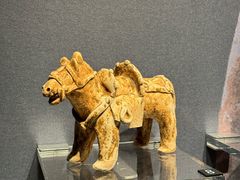 -盘龙城国家考古遗址公园