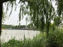 -上海长兴岛郊野公园