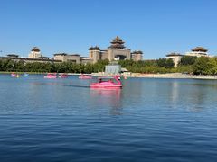 -莲花池公园