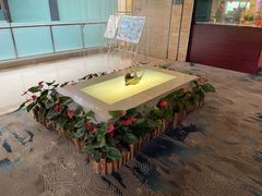 -厦门悦华酒店·绿庭主题自助餐厅