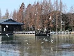 -渤公岛生态公园
