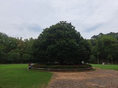 -灵谷景区
