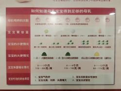 -复旦大学附属妇产科医院(杨浦院区)