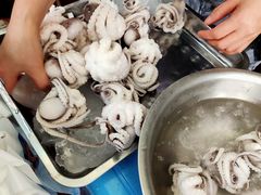 -铭聚章鱼土笋冻(松柏店)