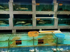 -香顺·客家菜(东坑店)