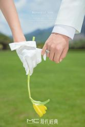 -现代经典婚纱摄影