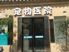 -特一安24小时宠物医院·骨科·中兽医