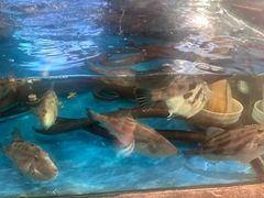 -万盛合(渔人码头店)
