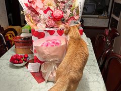 -新荟城(望京店)