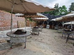 -桃源山庄·水蜜桃采摘·柴火鸡·烧烤团建(龙泉山店)