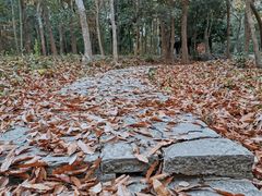 -玉女潭景区
