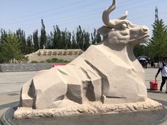 -永定河休闲森林公园