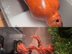 -晟永興(三里屯店)