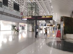 -郑州新郑国际机场-T2航站楼