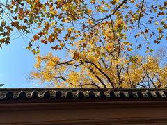 -苏州文庙(姑苏区)