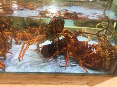 -旺顺阁海鲜广场(亚运村店)
