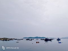 -长岛大黑山岛