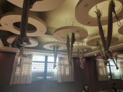 -威思丽高温瑜伽会馆