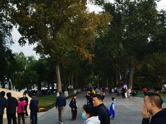 -人民防洪胜利纪念塔