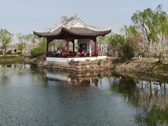 -无锡蠡湖国家湿地公园-蠡园