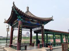 -莲花池公园