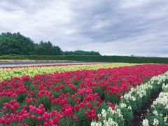 -富田农场