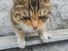-宝通禅寺