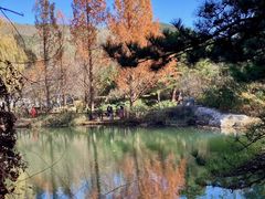 -国家植物园南园