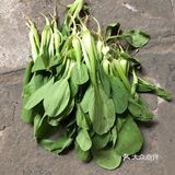 谁都会做的炒青菜就是这么简单