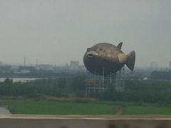 -长顺河豚馆(江洲东路)