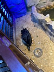 -酷嗒动物文化乐园(cutezoo西溪乐天城店)