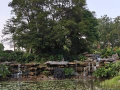 -东莞植物园